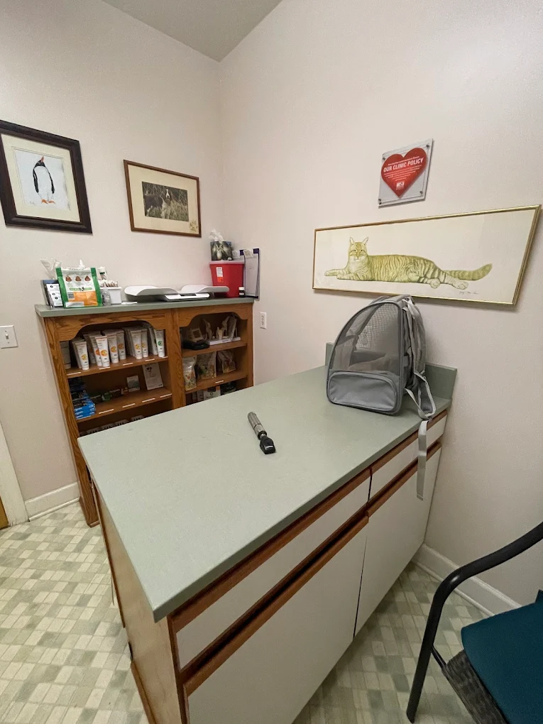 An exam room at The Mountain Hospital for Animals
