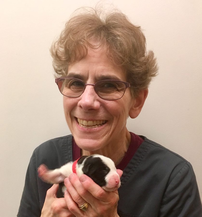 Kim Terry smiling as she holds a newborn puppy